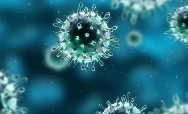 ИСКЧ получил грант Фонда содействия инновациям на разработку интраназальной вакцины от коронавируса